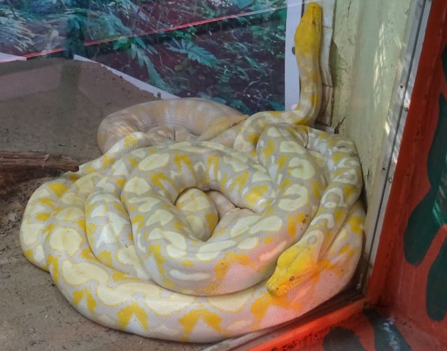 Chennai
